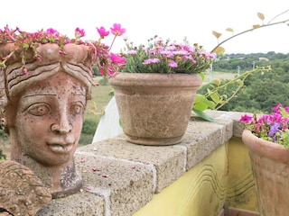 Holiday apartment Torre Alfina Environment 15