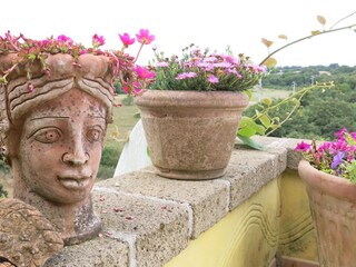 Vakantieappartement Torre Alfina Buitenaudio-opname 19