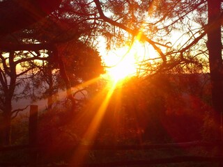 Vakantieappartement Torre Alfina Buitenaudio-opname 20