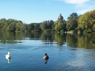 Appartamento per vacanze Torre Alfina Ambiente 30