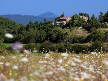 Holiday apartment Pomantello-Juliet