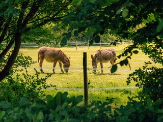 Maison de vacances Perros-Guirec Environnement 37