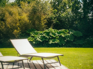 Maison de vacances Perros-Guirec Enregistrement extérieur 8