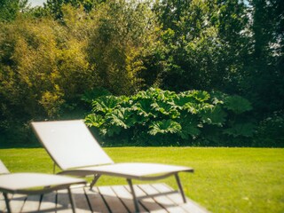 Maison de vacances Perros-Guirec Enregistrement extérieur 9