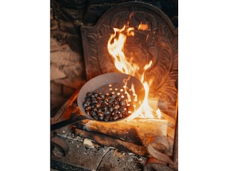 roasted chestnuts in the fireplace