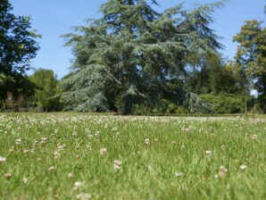 Apartamento El Refugio de Marie