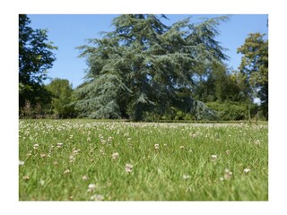 Vakantieappartement Perros-Guirec Buitenaudio-opname 8