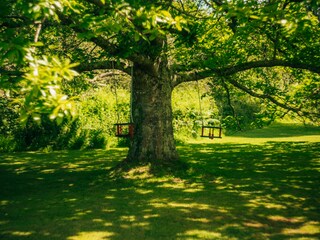 Ferienwohnung Perros-Guirec Außenaufnahme 13