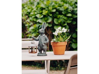 Maison de vacances Perros-Guirec Enregistrement extérieur 5