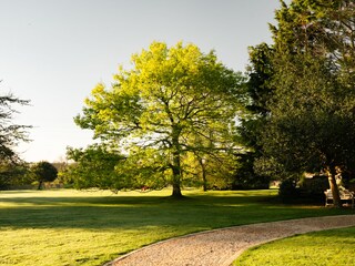 Vakantiehuis Perros-Guirec Buitenaudio-opname 6
