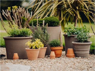 Maison de vacances Perros-Guirec Enregistrement extérieur 5