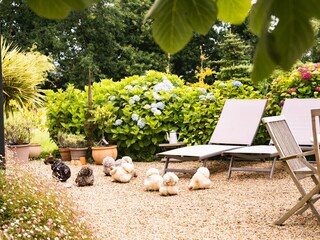 Casa per le vacanze Perros-Guirec Registrazione all'aperto 10