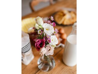 Casa per le vacanze Perros-Guirec Registrazione all'aperto 4