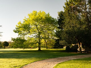 Casa de vacaciones Perros-Guirec Grabación al aire libre 6
