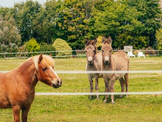 Casa per le vacanze Perros-Guirec Registrazione all'aperto 10