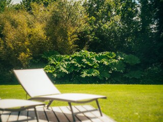 Casa per le vacanze Perros-Guirec Registrazione all'aperto 11