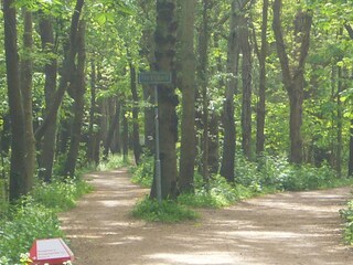 Naturschutz gebied Mantelinge und Oranjezon