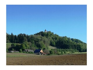 Sicht zum Aussichtsturm Hohenbodman