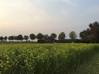 Casa per le vacanze Waterlandkerkje Registrazione all'aperto 10