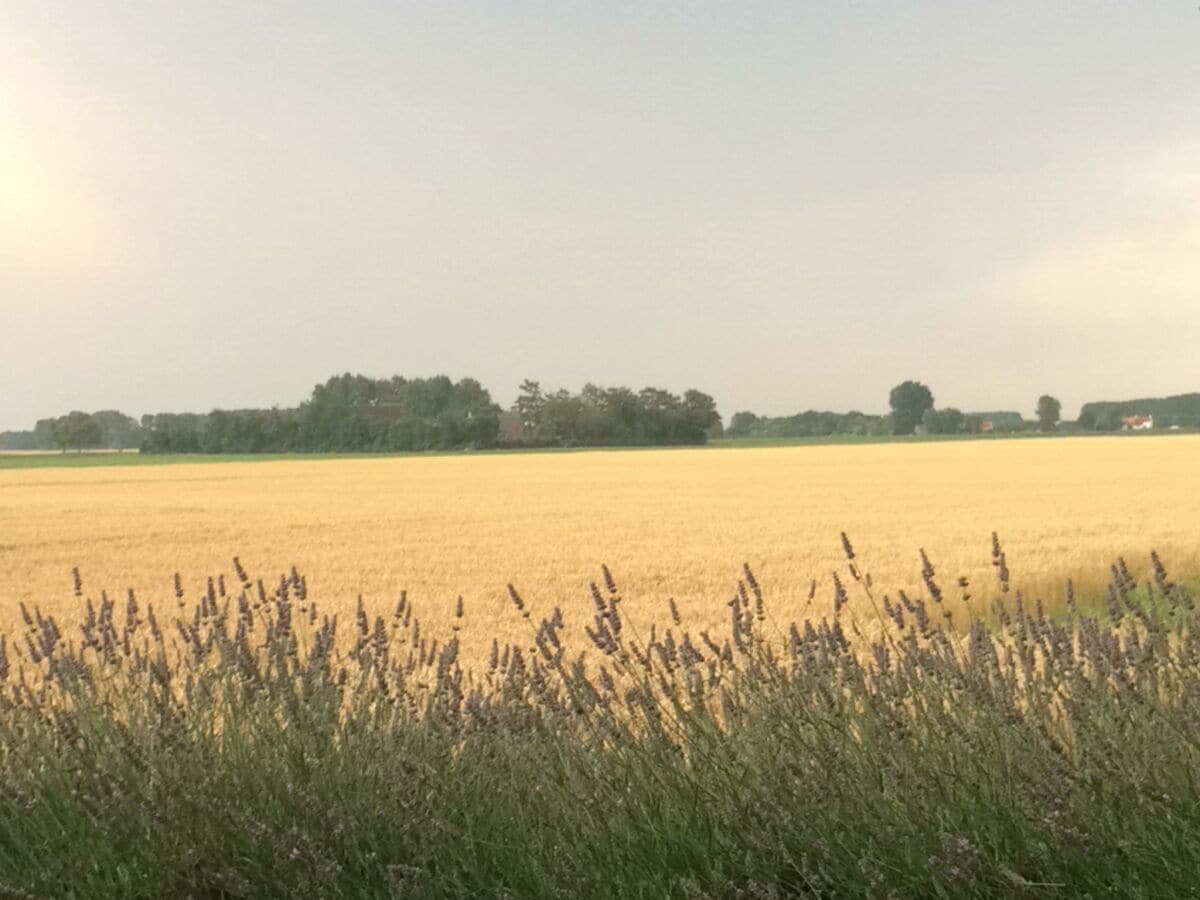 Blick von der Terrasse