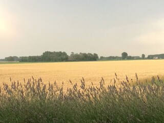 Casa per le vacanze Waterlandkerkje Registrazione all'aperto 11