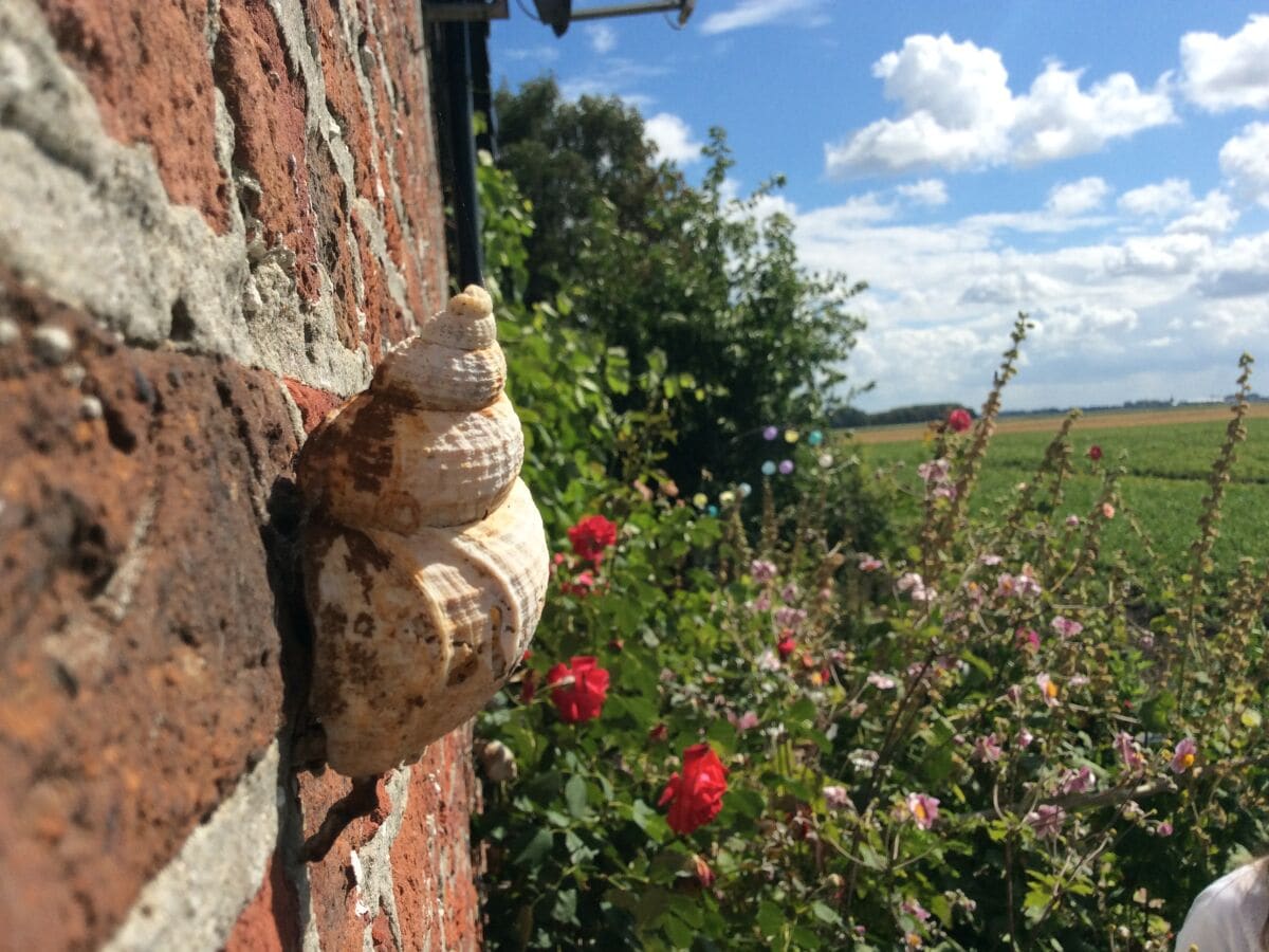 Eindruck von der Terrasse