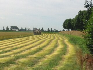 Casa per le vacanze Waterlandkerkje Registrazione all'aperto 14