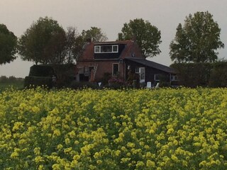 Casa per le vacanze Waterlandkerkje Ambiente 38