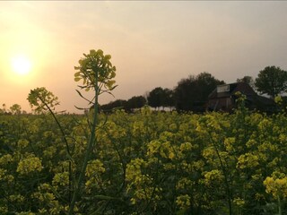 Casa per le vacanze Waterlandkerkje Ambiente 40