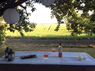 Casa per le vacanze Waterlandkerkje Registrazione all'aperto 15