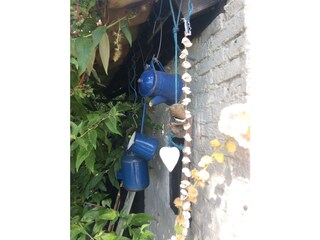 Casa per le vacanze Waterlandkerkje Registrazione all'aperto 16