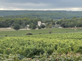 Ferienhaus La Môle  24