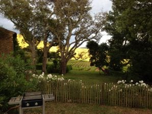 Holiday house Vineyard - La Môle - image1