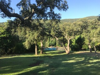 Vakantiehuis La Môle Omgeving 4