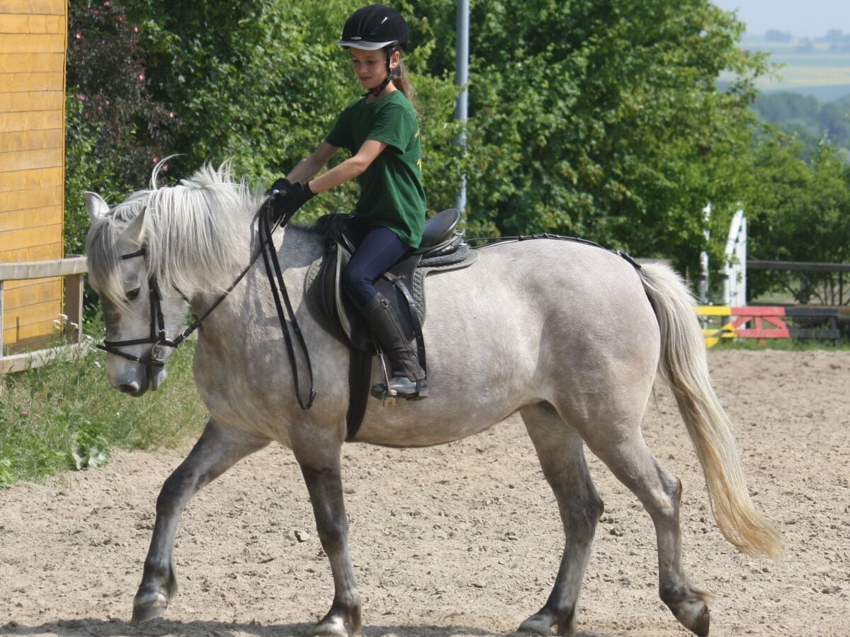 Kinderreitunterricht