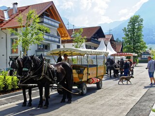 Kutschfahrten in Oberstdorf