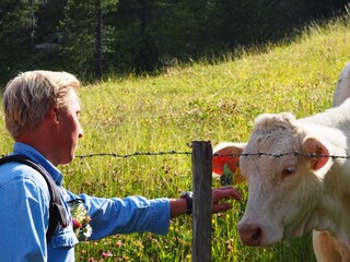 Capanna alpina Turracherhöhe Ambiente 19