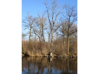 Naturschutzgebiet Taubergiessen