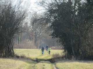 Wanderung durch den Taubergiessen