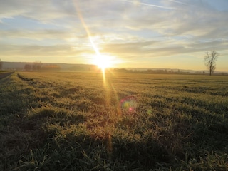 Sonnenaufgang im Taubergiessen