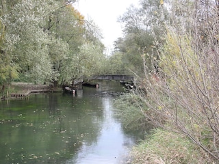 Bootsanlegestelle auf der Elz im Taubergiessen