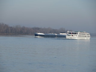 Schiffsverkehr auf dem Rhein bei Kappel