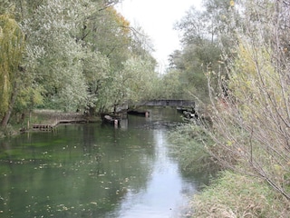 Bootsanlegestelle Saukopfbrücke für Bootsfahrten. Taubergießen Kappel