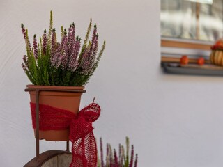 Apartment Wald im Pinzgau  27