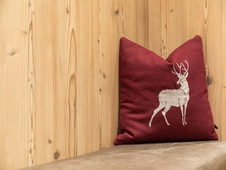 Appartamento Wald im Pinzgau  34