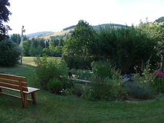 Abendstunde im Garten