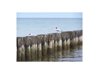 ab 100m vom Ufer muss man schwimmen