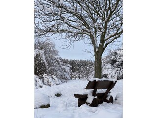 Winterlich
