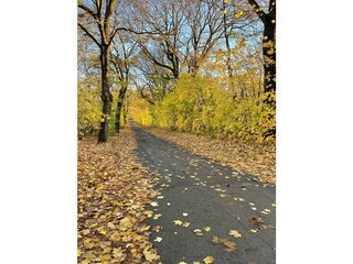 Herbst