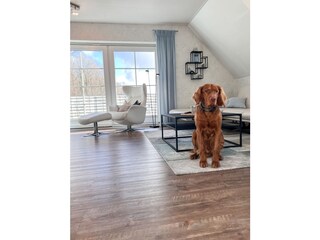 Hunde sind willkommen